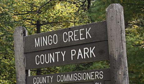article image - Mingo Creek County Park